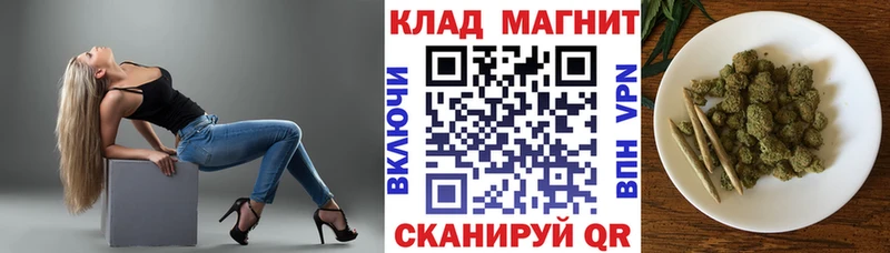 Где продают наркотики Грязовец ГАШ Вейп ТГК Галлюциногенные грибы АМФЕТАМИН Меф Cocaine МАРИХУАНА