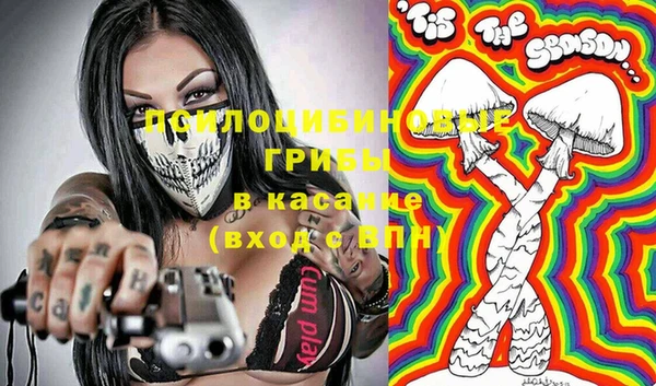 шишки Богданович