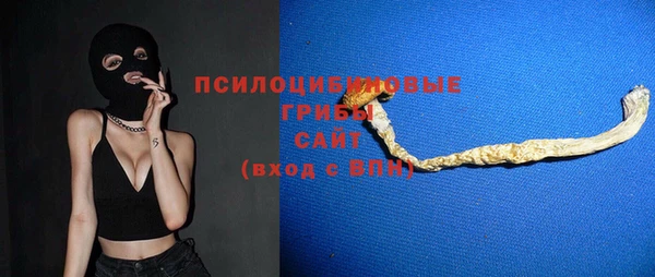 хмурый Алексин