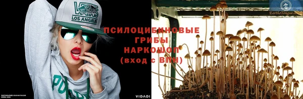хмурый Алексин