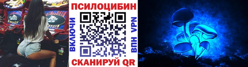 как найти   Грязовец  Галлюциногенные грибы MAGIC MUSHROOMS 